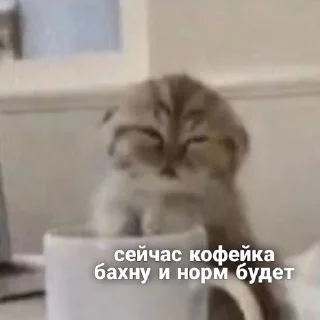 🗿 как жить, стікер Telegram 23 з 26