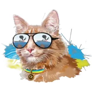 😀 Українські коти, sticker Telegram 23 sur 23