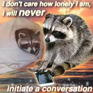 raccoon core