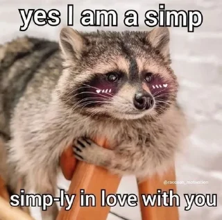 🥰 racoon, стикер Telegram 8 из 88