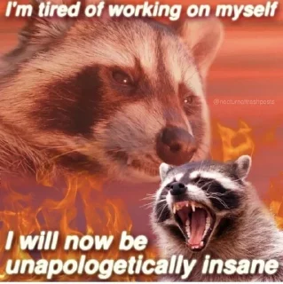 🤬 racoon, стикер Telegram 10 из 88