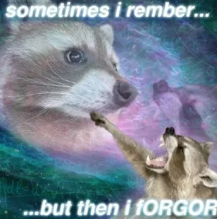 🦝 raccoon core, sticker Telegram 11 sur 12