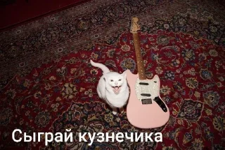 🐱 my prec13ous 👺 @iamgedyku, стікер Telegram 17 з 78