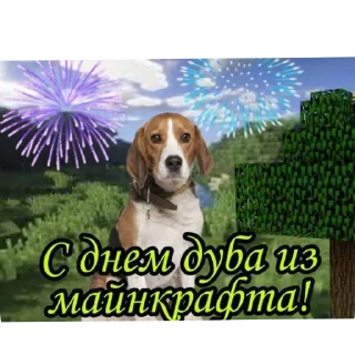 🖼 кефтеме, стікер Telegram 10 з 89