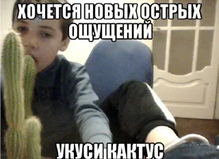 😬 РандомПак, стикер Telegram 6 из 60