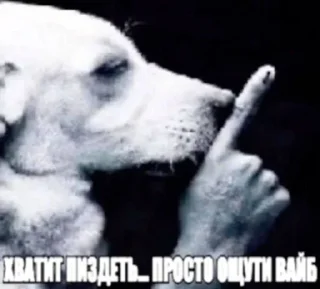 🌟 swag enjoyer, стикер Telegram 18 из 69