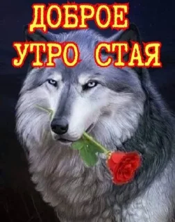 🫶 ну не жиза ли, Telegram sticker 22 of 57