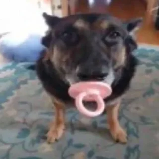 🤨