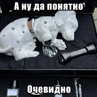 🤓 tsitaty, стікер Telegram 7 з 120