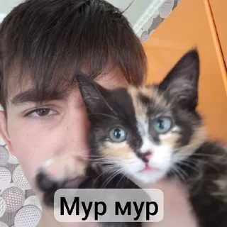 🌟 Машуля тест на 94%, стікер Telegram 9 з 9