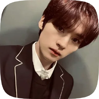🌟 ★ I| ᥣᥱᥱ κᥒ𖹭ᥕ. 🐈 @maoooq., стикер Telegram 23 из 30