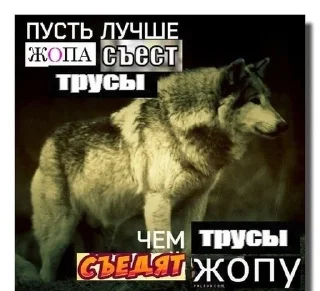 🐺 Ugly Lark, стикер Telegram 3 из 99