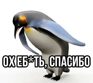 🙂 memes and more, sticker Telegram 11 sur 117