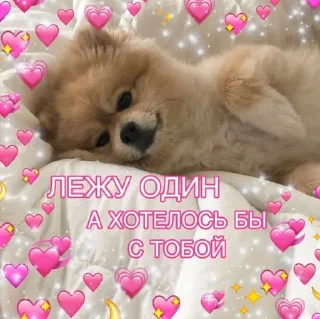 🌟 Я люблю Алину ❤️💍, стікер Telegram 19 з 79