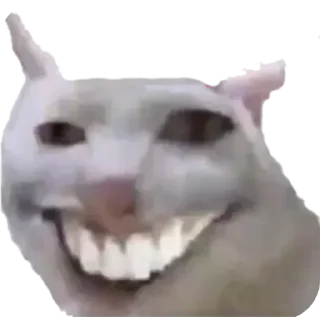 😁 коты ебучие, стікер Telegram 11 з 69