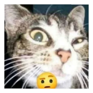 🤨 бляя куда я жмал, Telegram sticker 21 of 36
