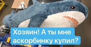 🌟 Marcus_Sticks, стикер Telegram 10 из 27