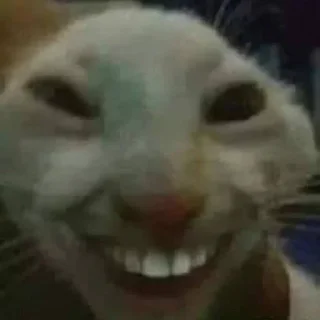 RH