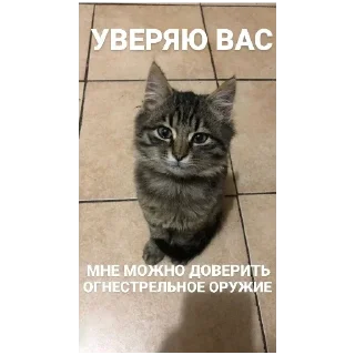 😊 натянул бы?, Telegram sticker 6 of 9