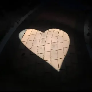 🤍 NewLove, стікер Telegram 11 з 20