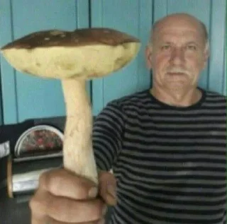 🍄 что-то, стікер Telegram 11 з 112