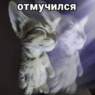 🌟 Самое нужное, sticker Telegram 20 sur 98