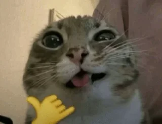 🌟 Самое нужное, sticker Telegram 7 sur 98