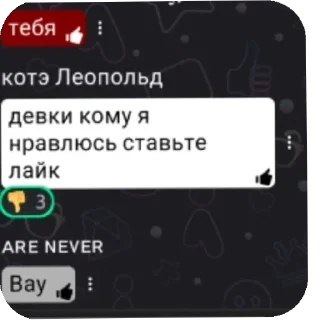 сука я вам отсосу