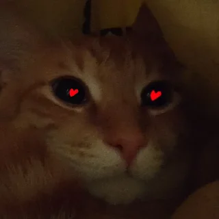 🥰 Kamhatska_skatina, стікер Telegram 14 з 120