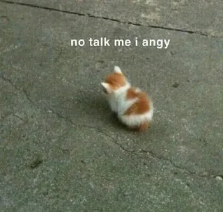 😡 Братва, sticker Telegram 12 sur 120
