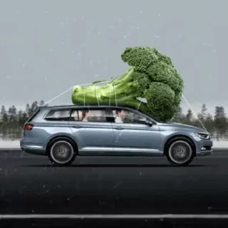 🥬 @TVstickers Salad, стікер Telegram 18 з 25