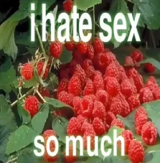 hate sex!!!