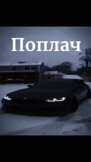 🌟 MAXCERBER, стикер Telegram 18 из 105