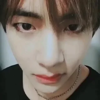 🐯 ㅤ ㅤㅤ 𝗍𝖺𝖾𝗍𝖺𝖾 @ffrdal, Telegram sticker 7 of 20