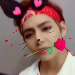 💯 ㅤ ㅤㅤ 𝗍𝖺𝖾𝗍𝖺𝖾 @ffrdal, стікер Telegram 8 з 15