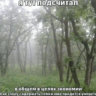 метадон.