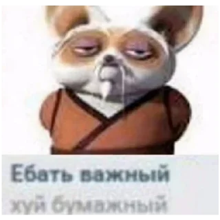 Панда кунг-фу получи кулаком по еблу