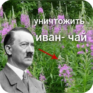 Ещкере сигма, блять чем я занимаюсь лучше бы.....