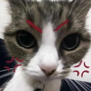 👹 мама и барсик 😘, стикер Telegram 12 из 16
