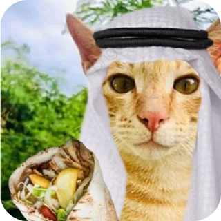 🐱 Владислав одобряет, стикер Telegram 4 из 22