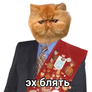 💀 Эх бляя, Telegram sticker 14 of 15