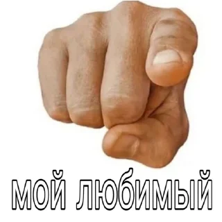 ты |¦ @stickerspremiumemoji