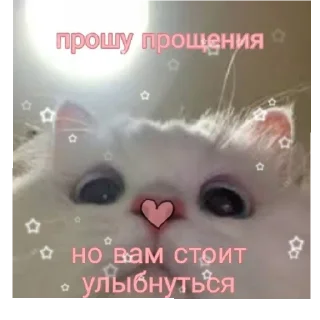 😄 Av phoenix_094, Telegram sticker 15 of 29