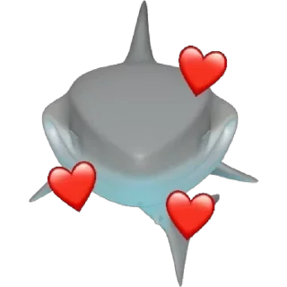 Акула 🦈