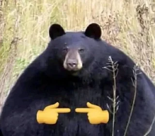 Tupi.zhivotne