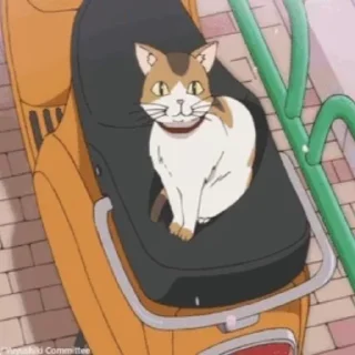 🐈 Anime cats @freetopsticker, стікер Telegram 14 з 45