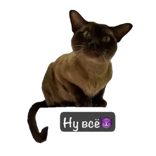 😡 Арчи, Telegram sticker 12 of 24