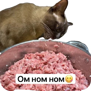 😋 Арчи, Telegram sticker 14 of 24