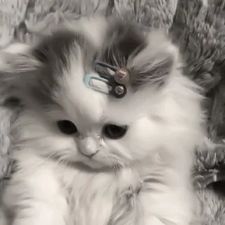 🥺 Машенька♡, Telegram sticker 15 of 41