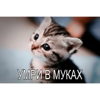 Милые мрази